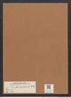 Navicula americana Ehr. (de-Toni-Nr.: Genus 1, Species 573) Zeichnungen Sammlung Grunow Mappe 00496 (Herbarium_W_Grunow_drawings_Folder_00496)